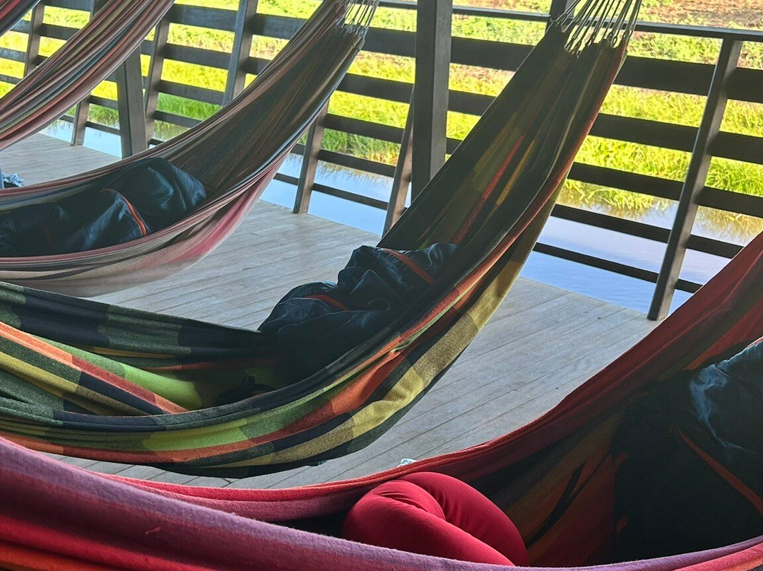 Ecolodge Flottant - Marais de Kaw-Regina必去景点