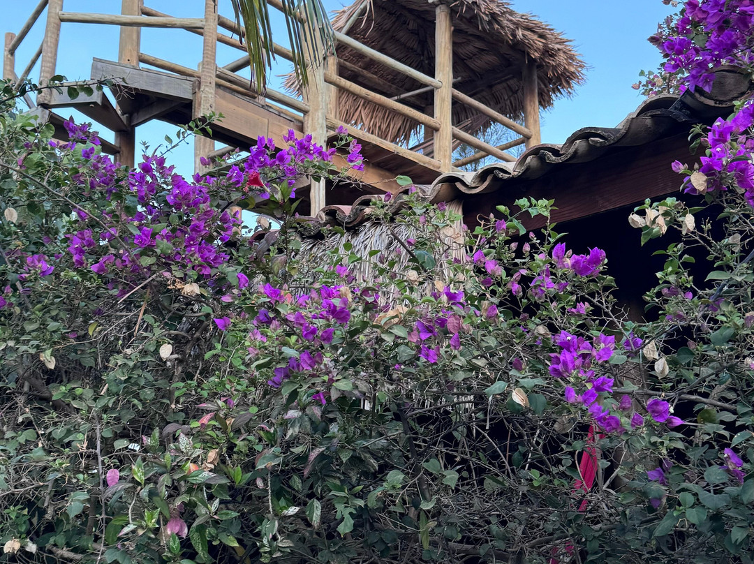 Hula Hula Brazil Bangalôs主图