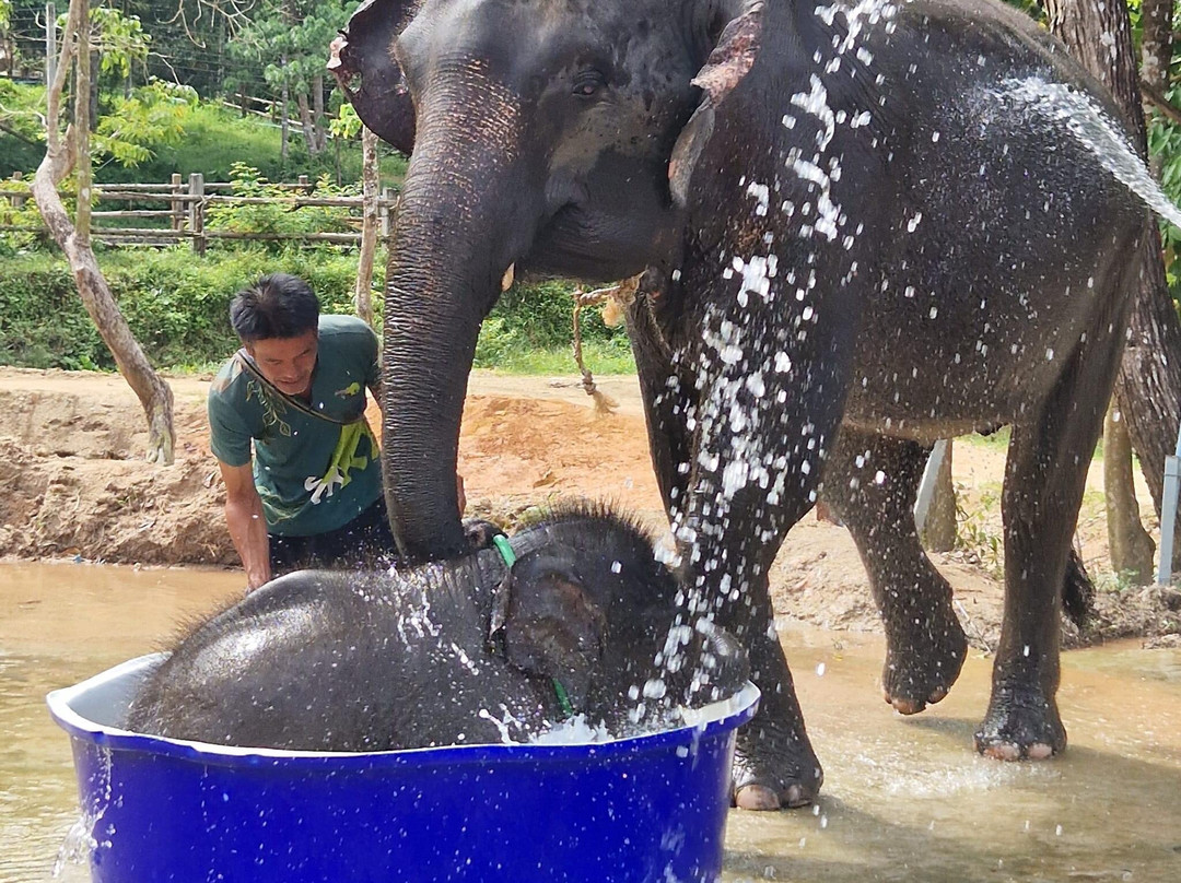 Phuket Local Guide Kong-Koh Kaew必去景点