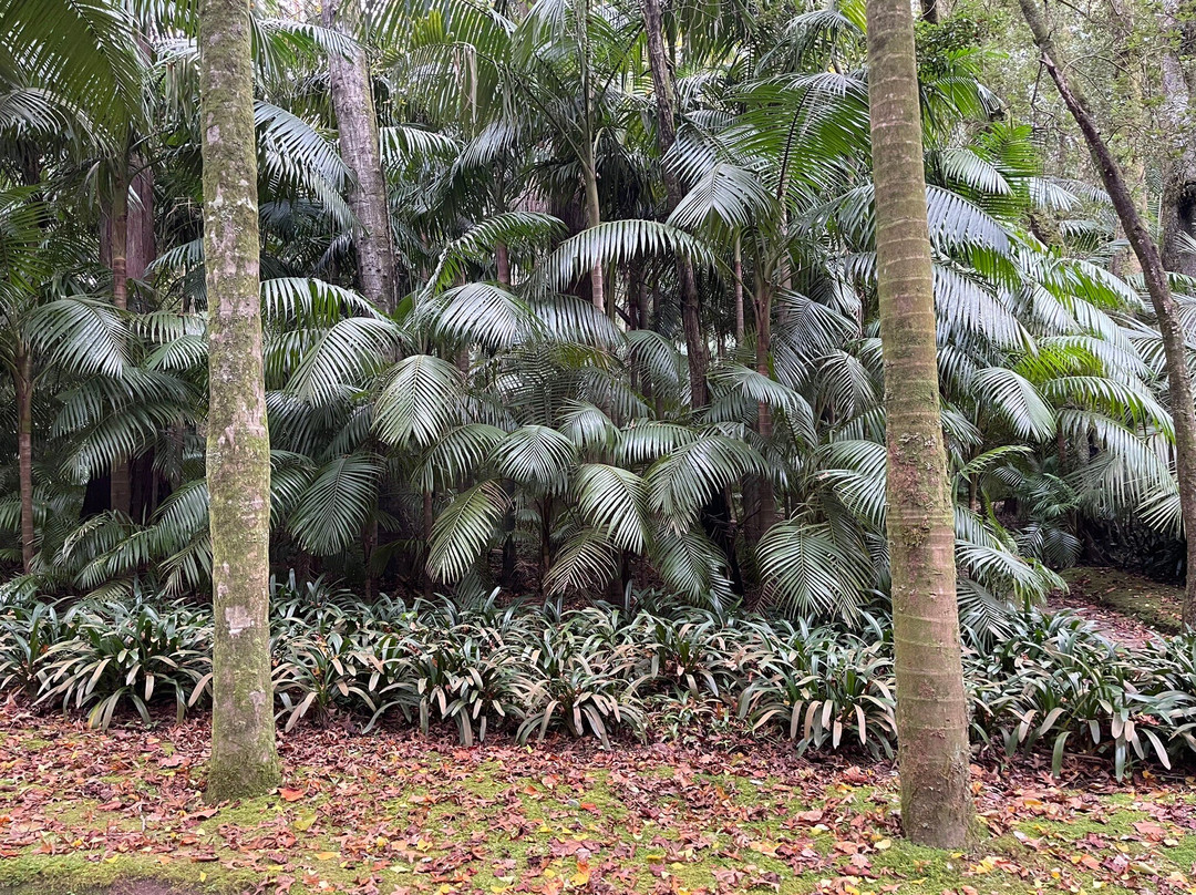 ANC Azores Holidays-蓬塔德尔加达必去景点