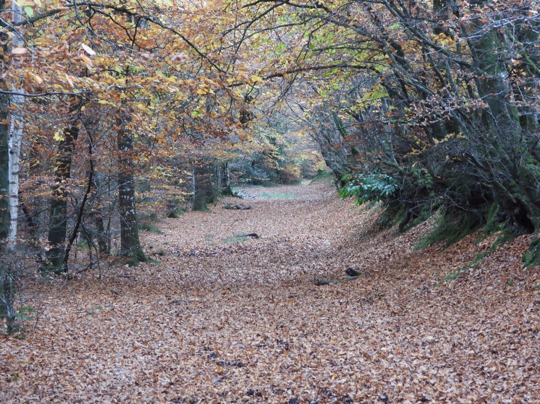 Sidmouth - Valley, Ridge and Jurassic Coast walk-西德茅斯必去景点