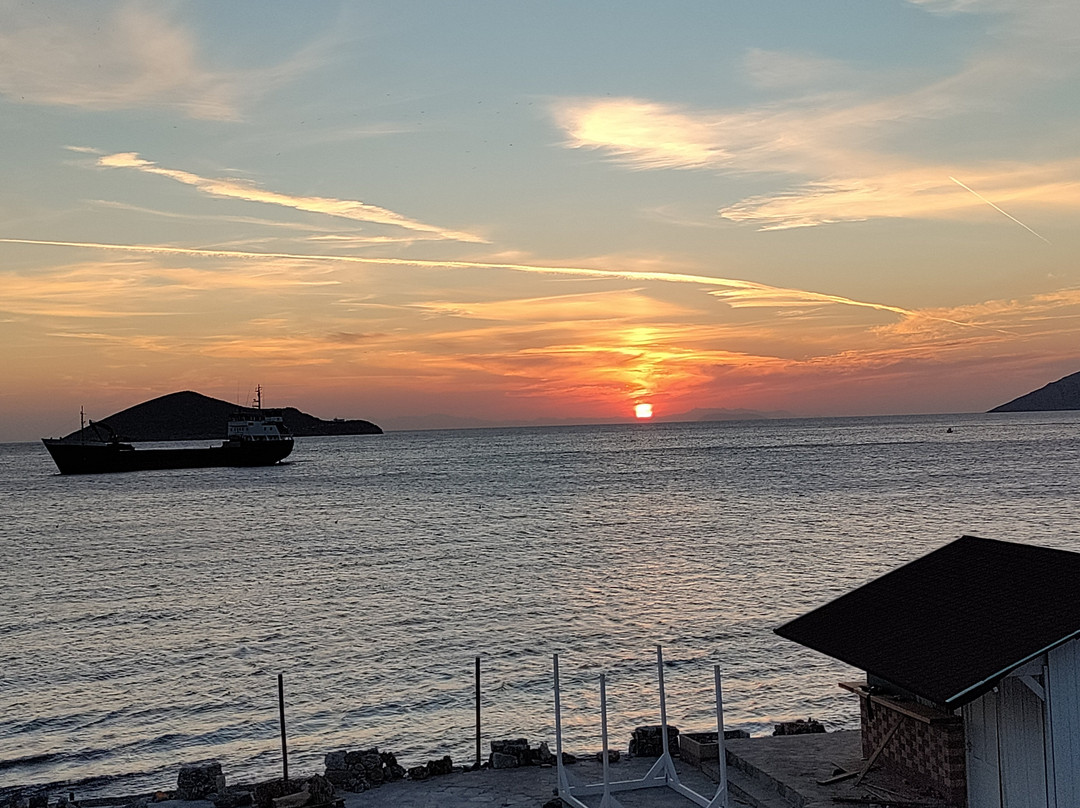 Paradisso Studios主图