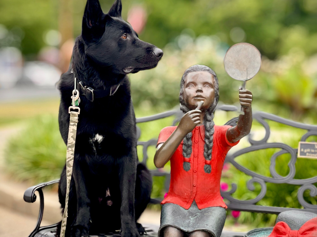 The Stamford Hotel主图