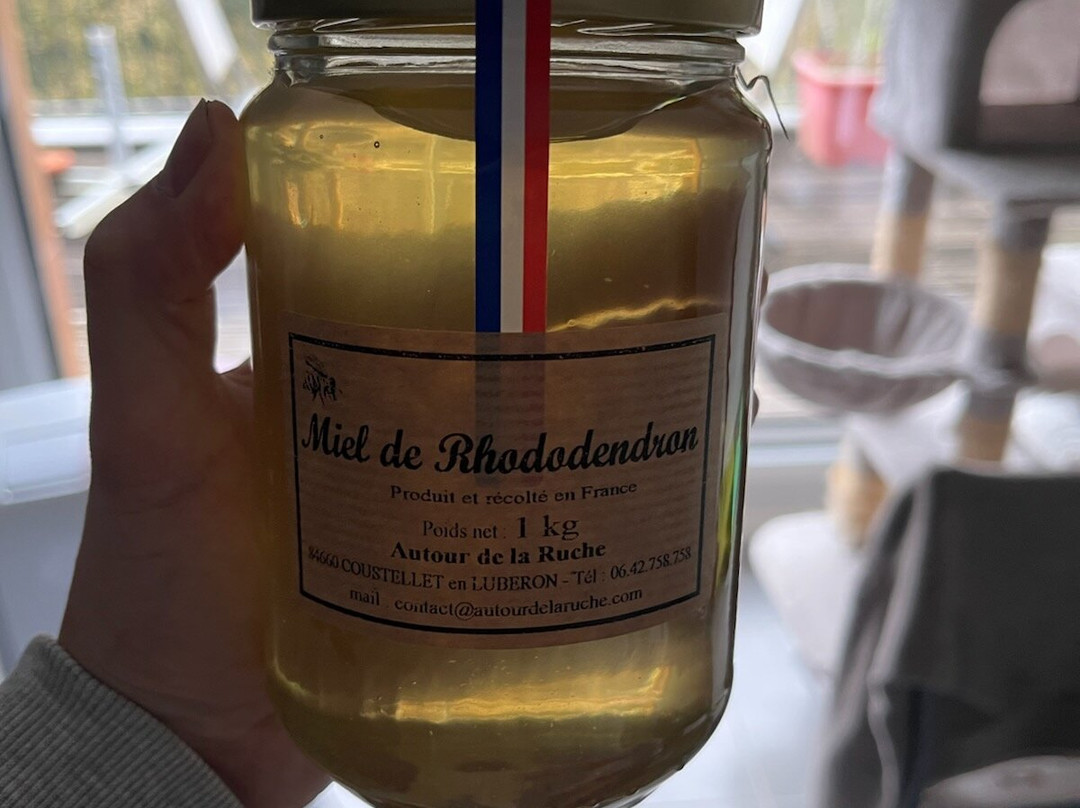 Autour de la Ruche景点图片