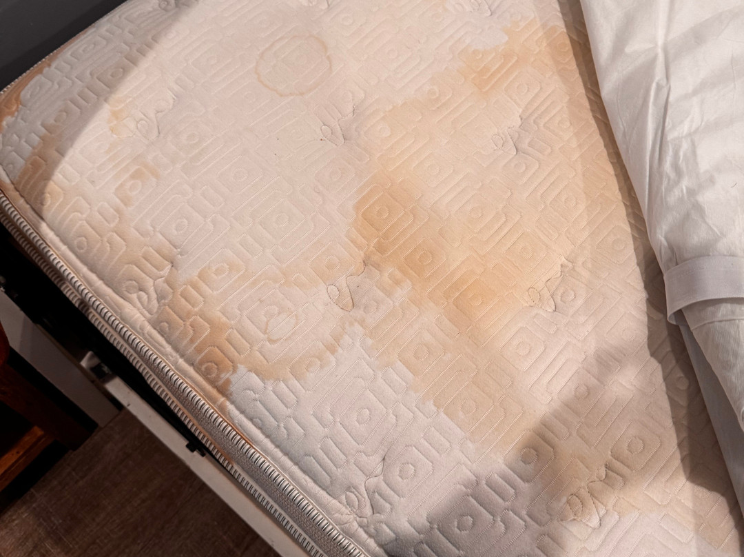 海滩街套房酒店主图