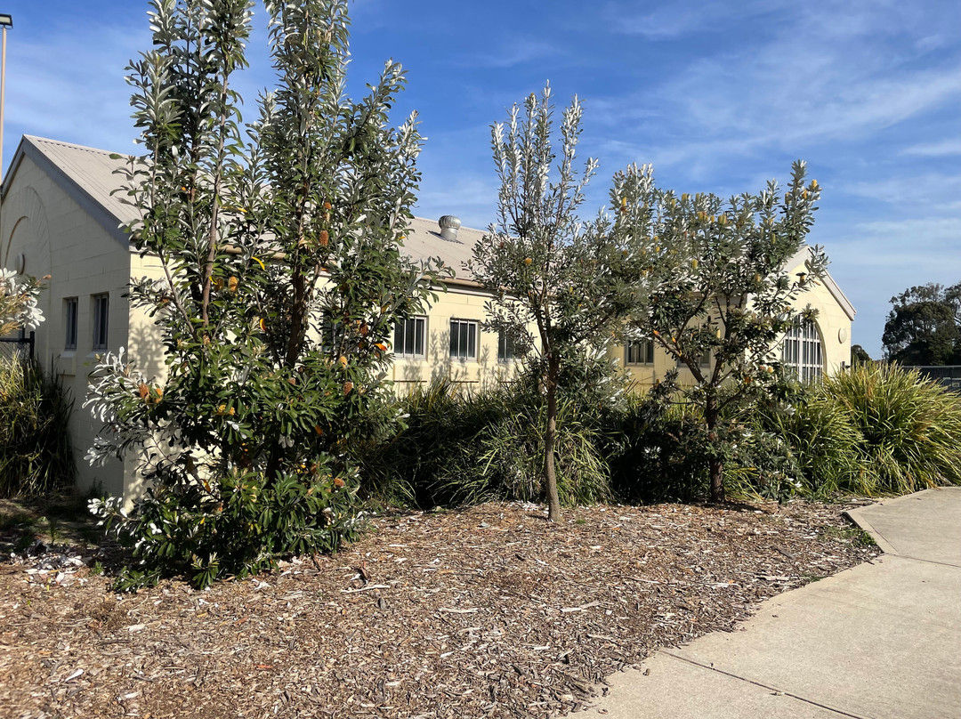 Morrison Reserve-Mount Evelyn必去景点