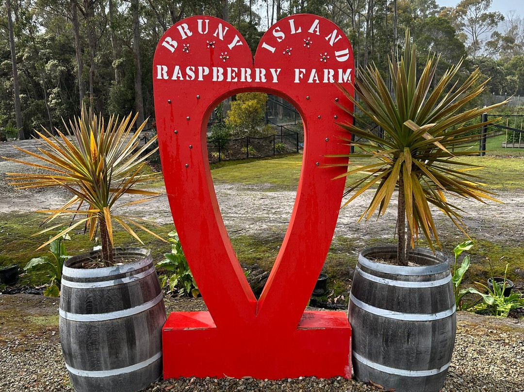 Bruny Island Raspberry Farm景点图片