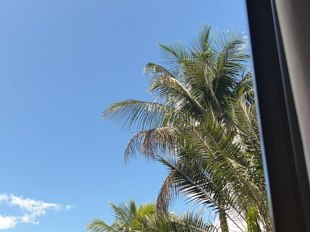 Coqueiral Praia Hotel主图