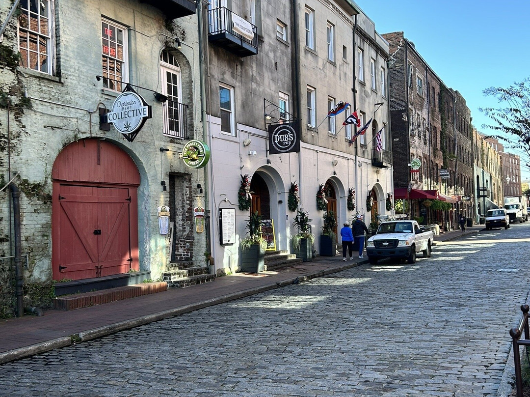 Skidaway Island State Park-萨凡纳必去景点