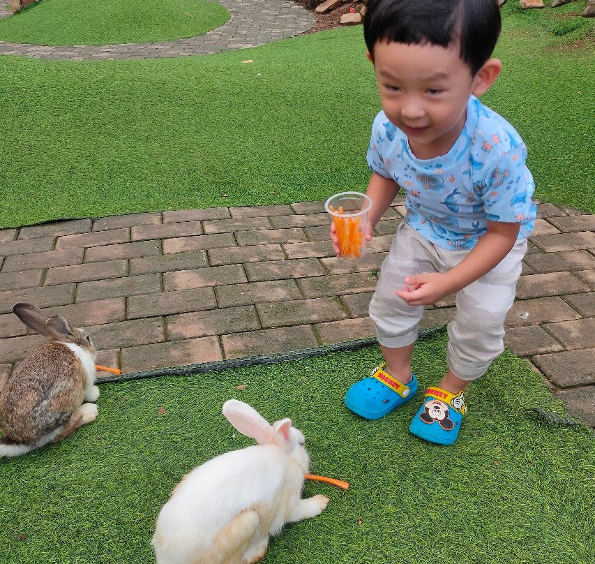 Agrowisata GUNUNG MAS Kebun Teh Walini-本哲必去景点