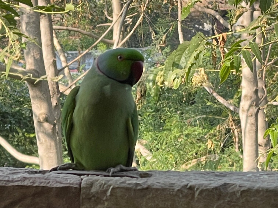 贝谷堡酒店主图