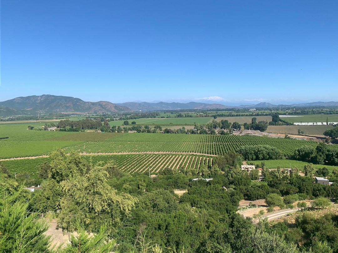 Colchagua D'vino主图