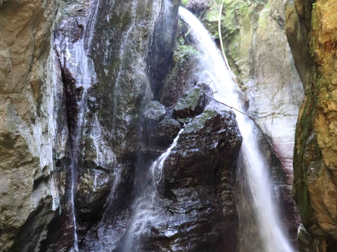 Niyodo River-高知县必去景点