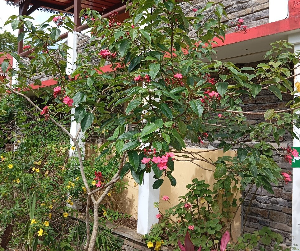 Jardin des 5 Sens-罗德里格斯岛必去景点