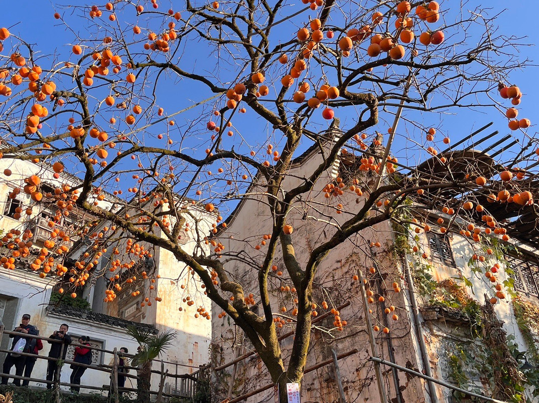 婺源篁岭景区景点图片