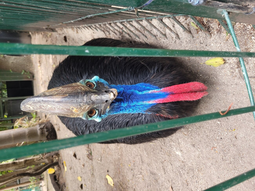 阿德莱德动物园-阿德莱德必去景点