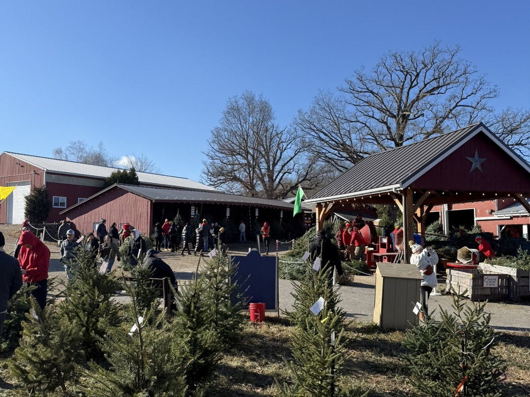 Jones Family Farm-谢尔顿必去景点