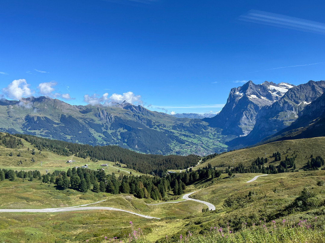The Wetterhorn-格林德瓦必去景点