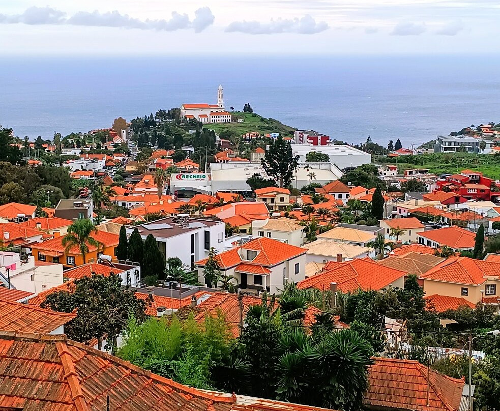 Miradouro Pico Dos Barcelos-沙尔必去景点