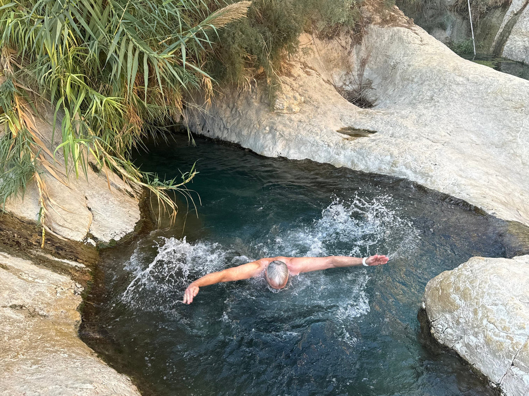 Nachal Arugot Nature Reserve-Masada必去景点