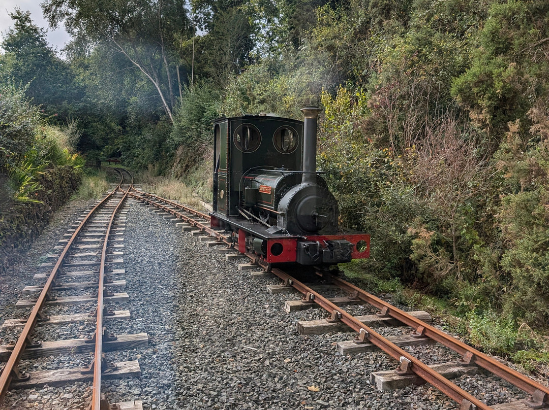 Launceston Steam Railway-朗塞斯顿必去景点