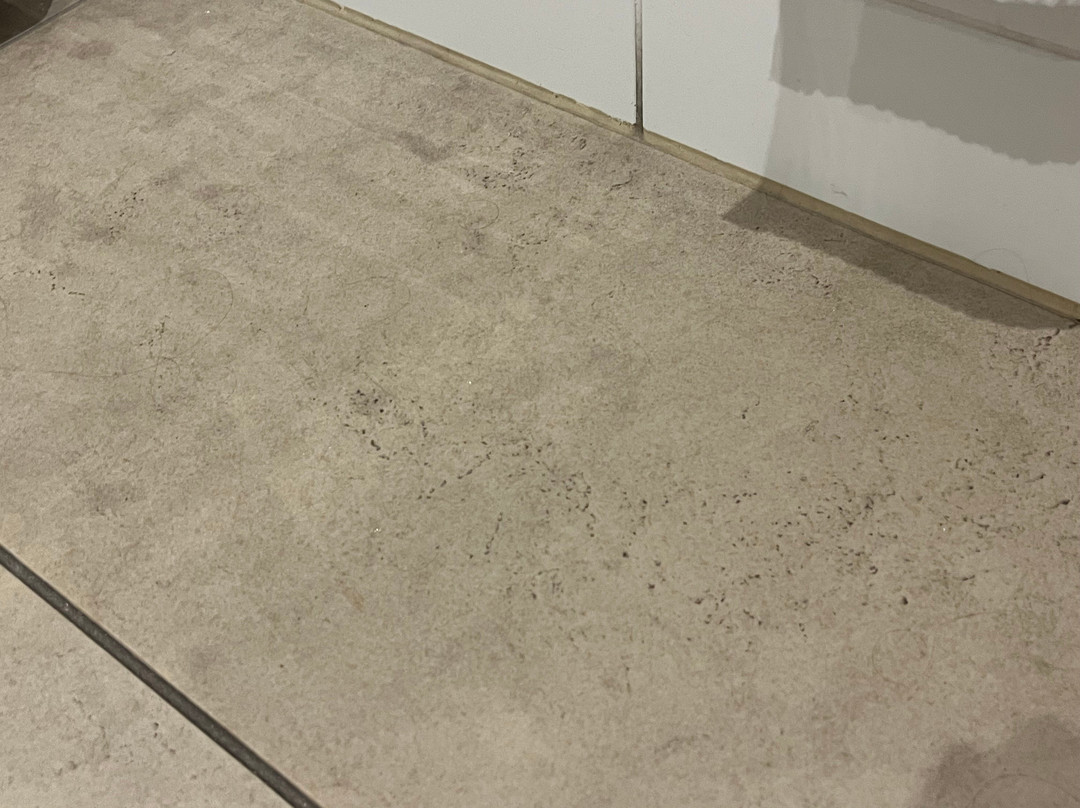 Adara Richmond主图