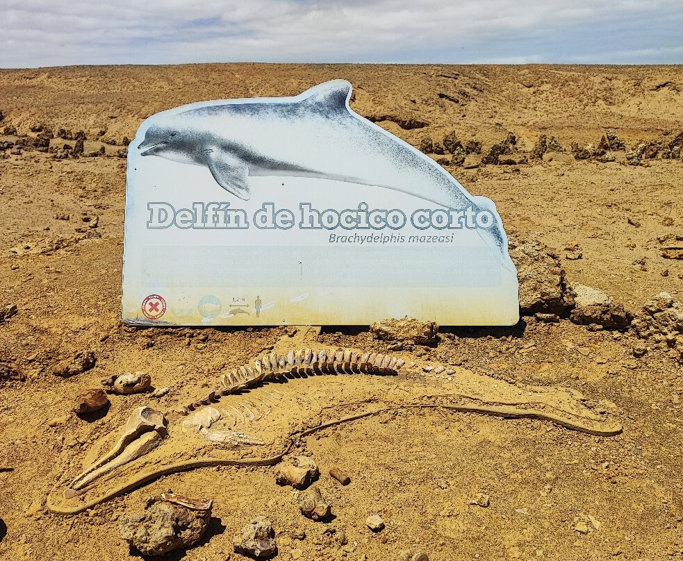 Parque Paleontologico De Caldera-Caldera必去景点