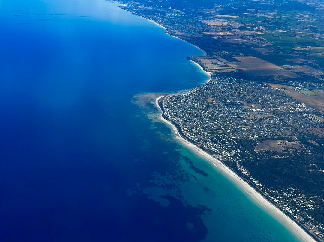 Skydive the Southern Vines-麦克拉伦谷必去景点