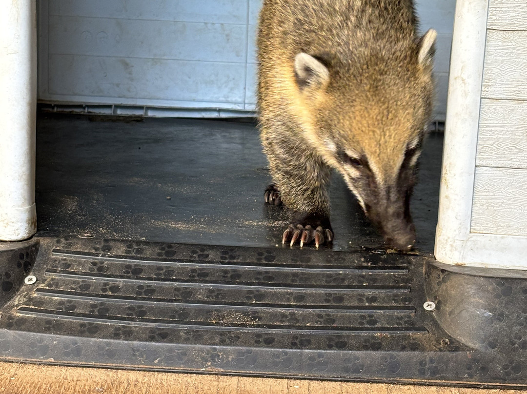 Phoenix Herpetological Sanctuary-斯科茨代尔必去景点