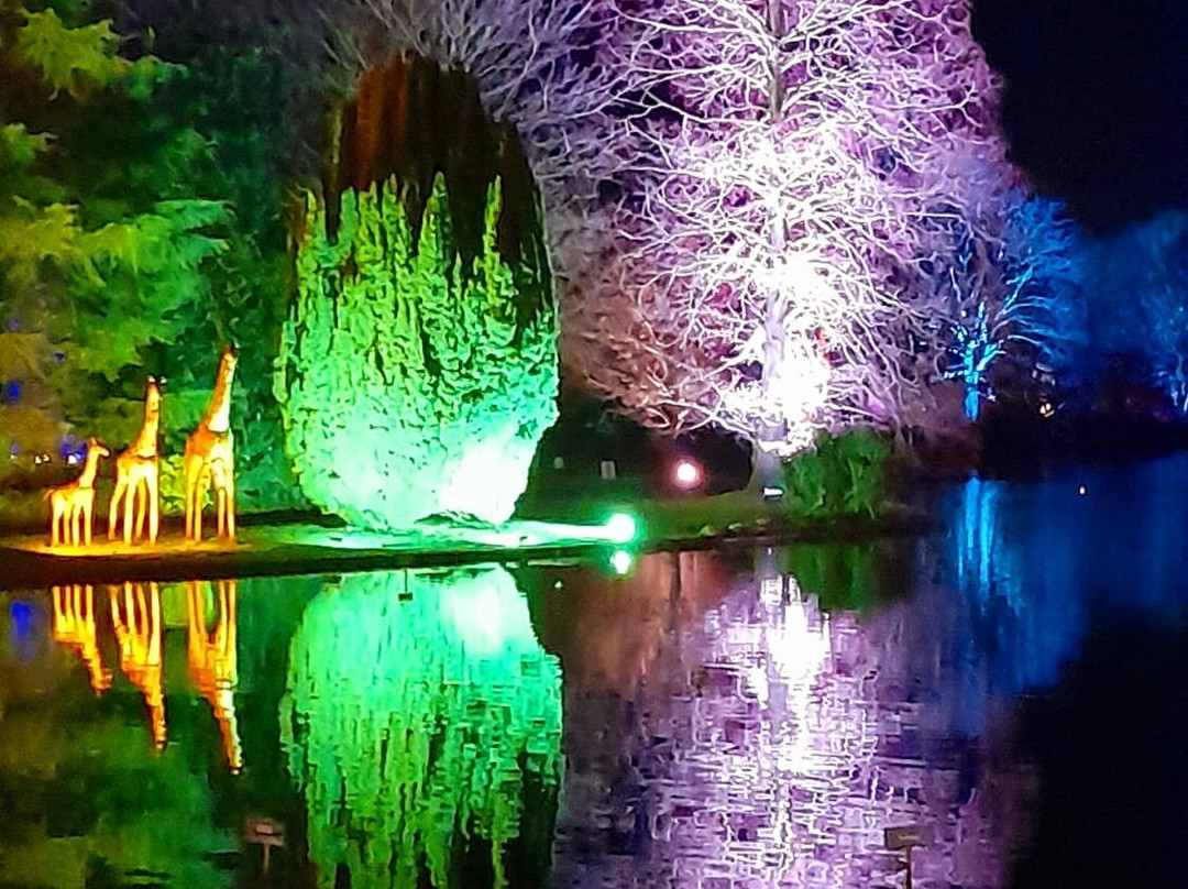 Burnby Hall Gardens and Museum景点图片