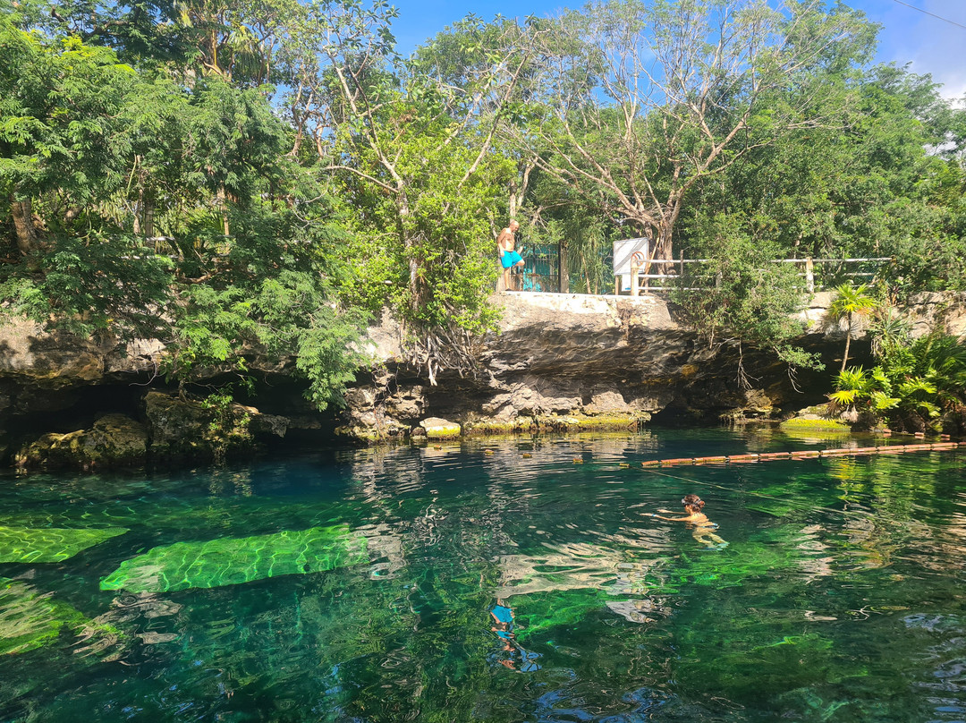 Cenote Cristalino景点图片