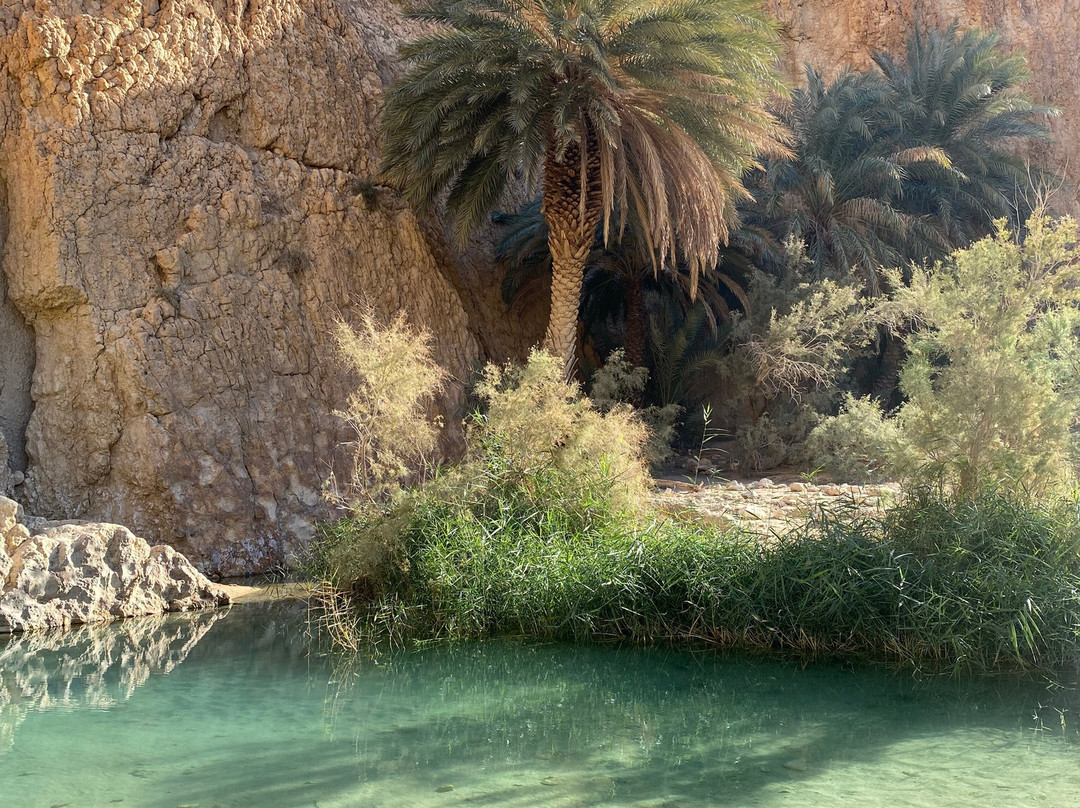 Tawma Travel Djerba-Houmt Souk必去景点