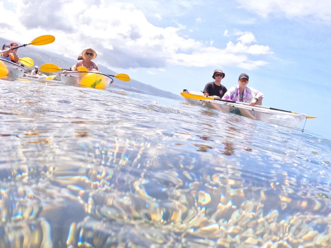 Kayak Transparent Reunion景点图片