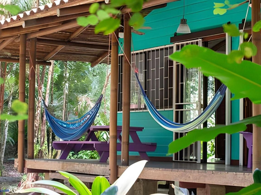 Jungle Dreamz