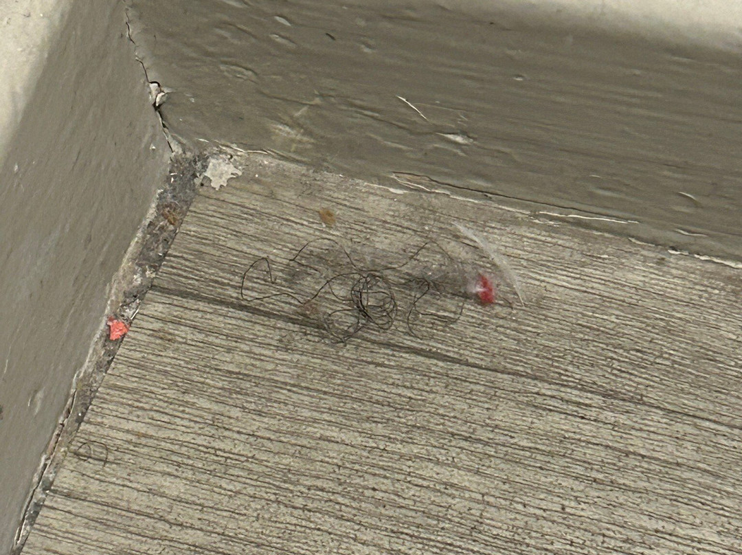 花园门廊酒店主图