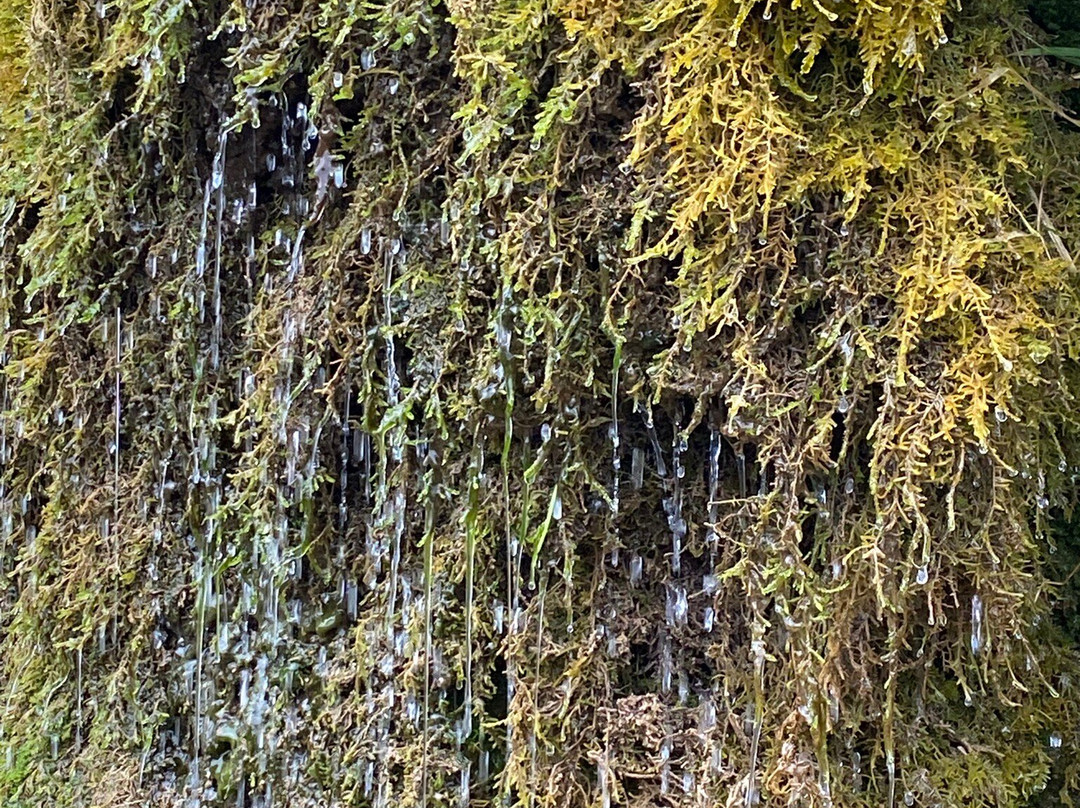 Wasserfall Dreimühlen景点图片