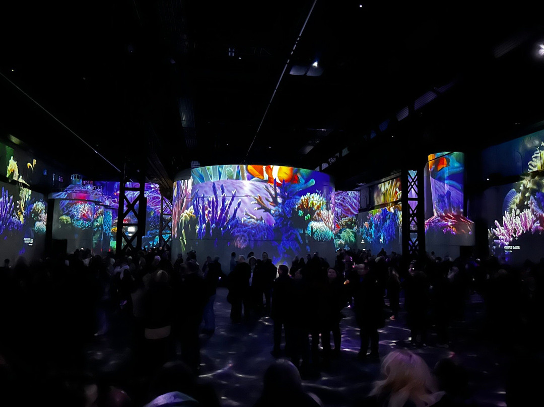 Phoenix des Lumieres景点图片