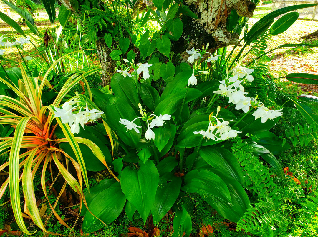 Mery Farm-霍姆斯特德必去景点