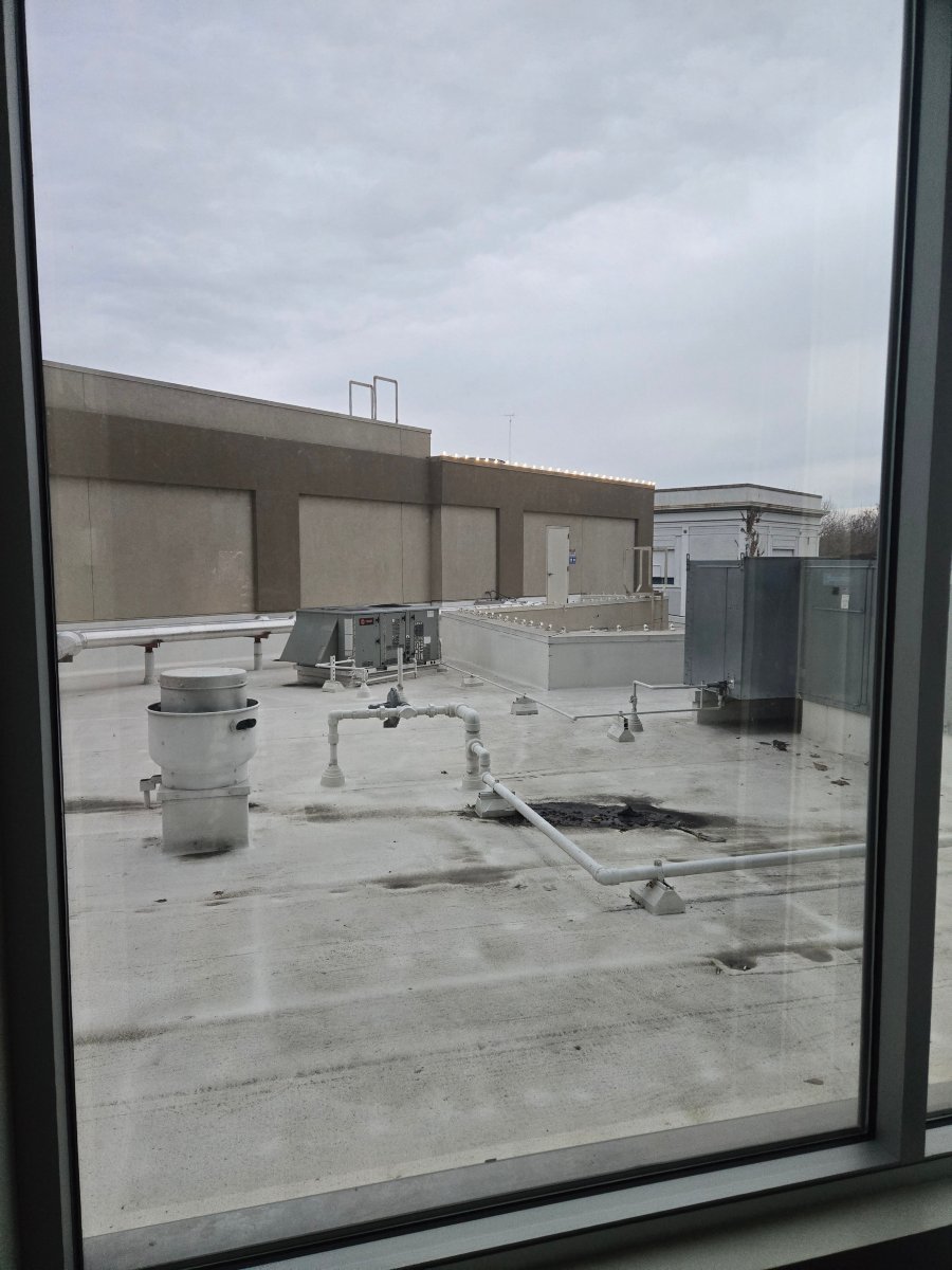 大学广场海滨酒店-官方