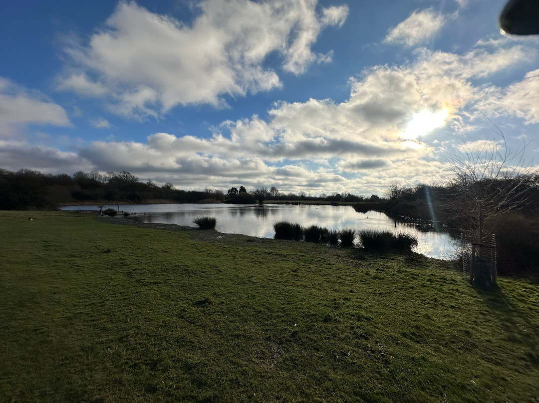 Essex Wildlife Trust Bedfords Park Visitor Centre景点图片