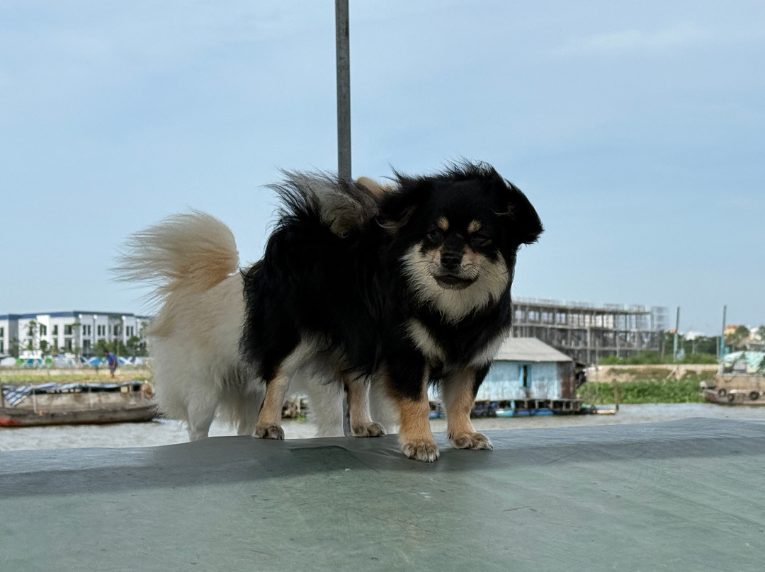 Long Xuyen Floating Market