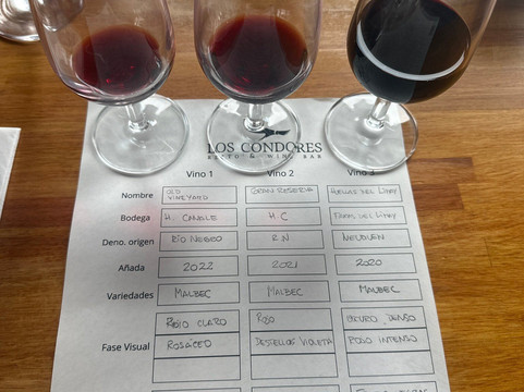 Los Condores Wine Bar