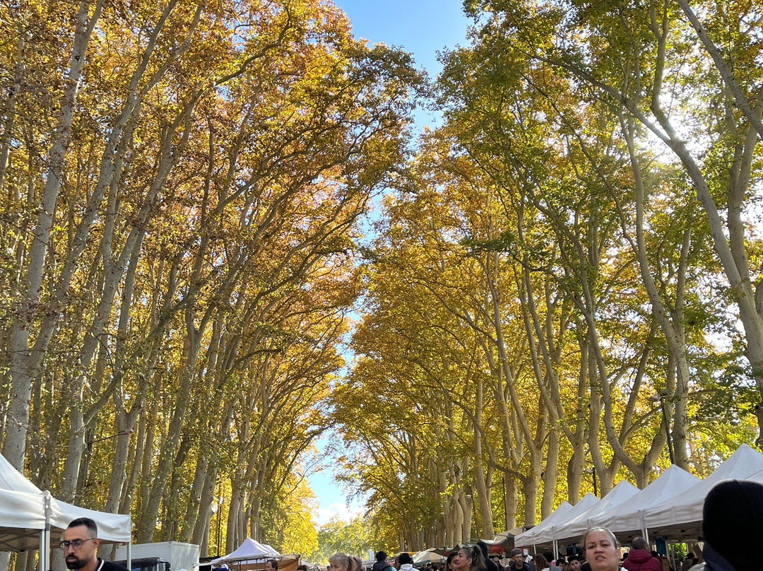 Parc de la Devesa景点图片