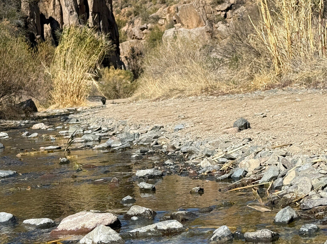Blue Wash Trail-洞溪必去景点