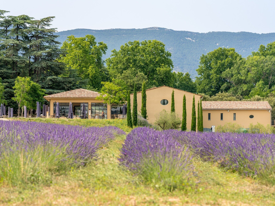 Château de Sannes