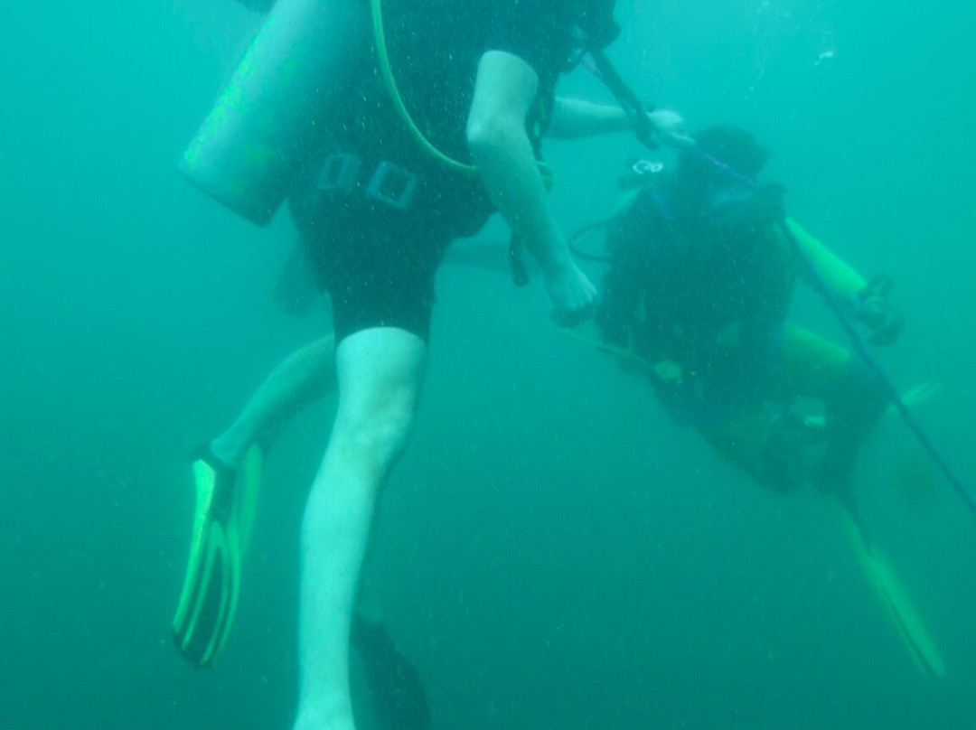 Poseidon Diving Station Sri Lanka-希克杜沃必去景点