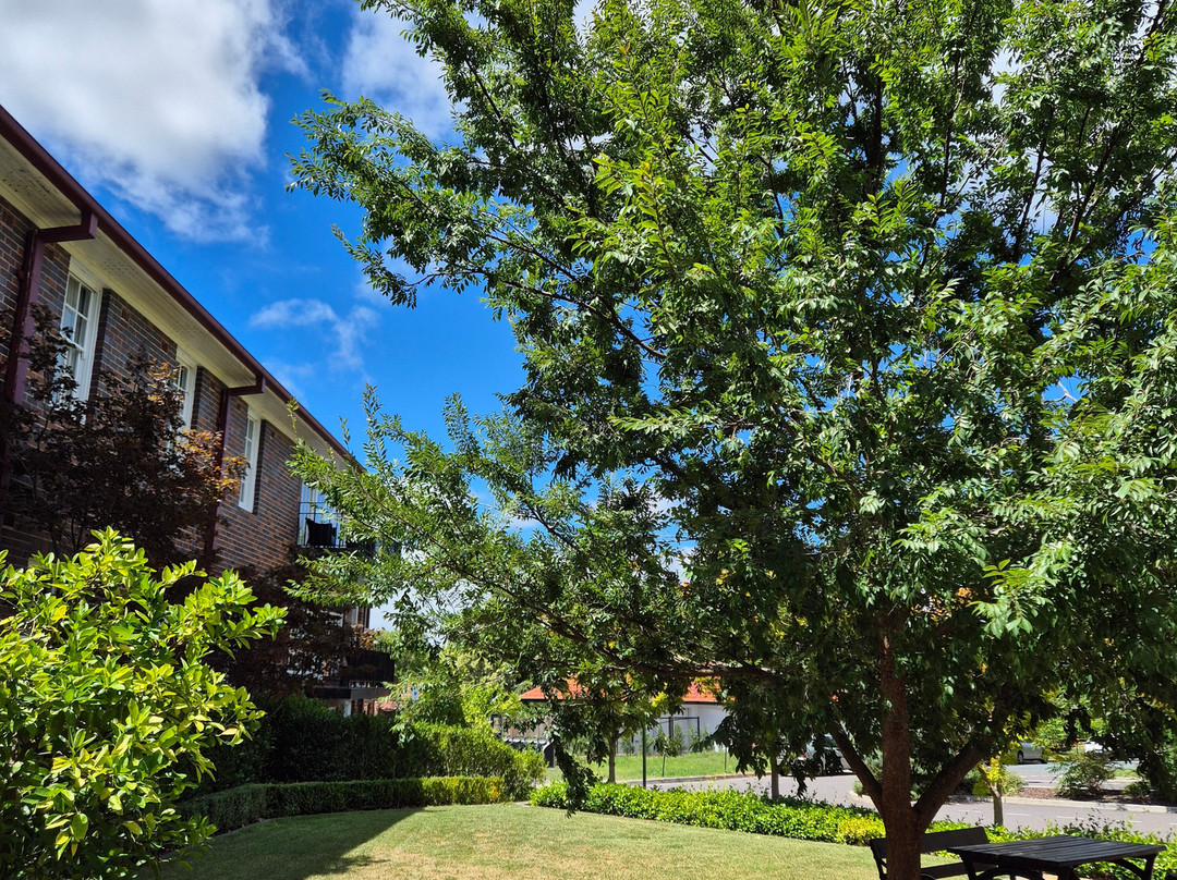 堪培拉布拉思酒店主图