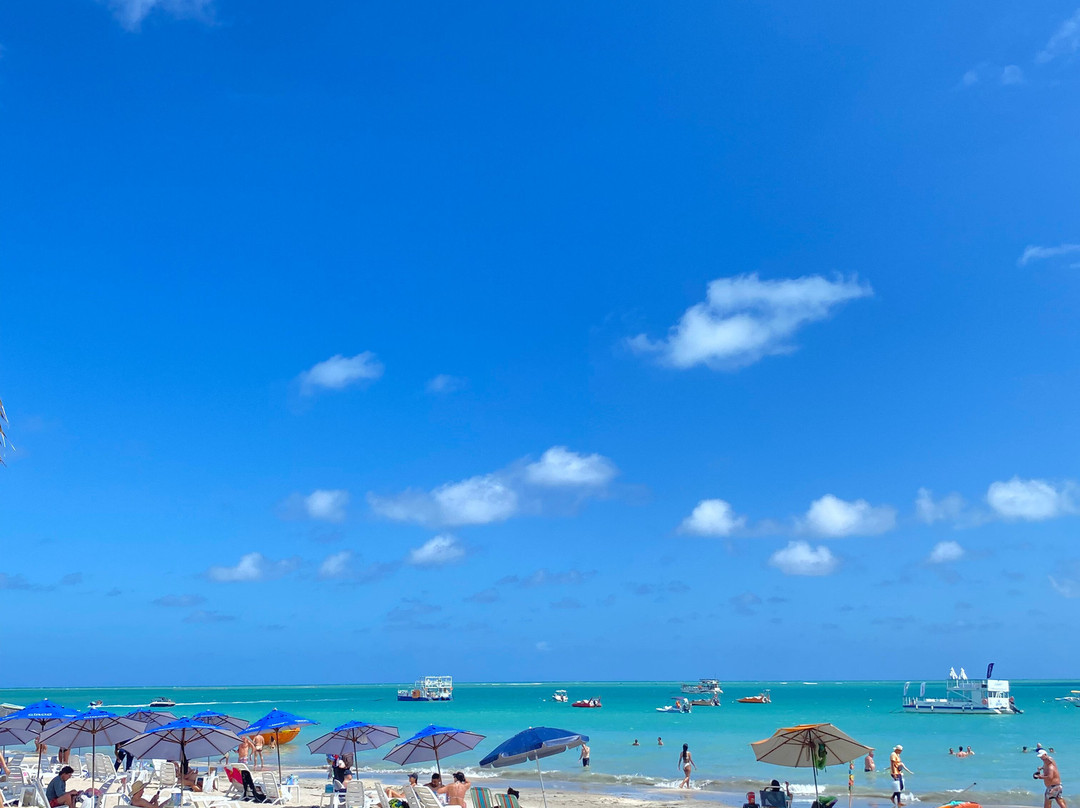 Maré Viva Passeios Turísticos-Maceio必去景点