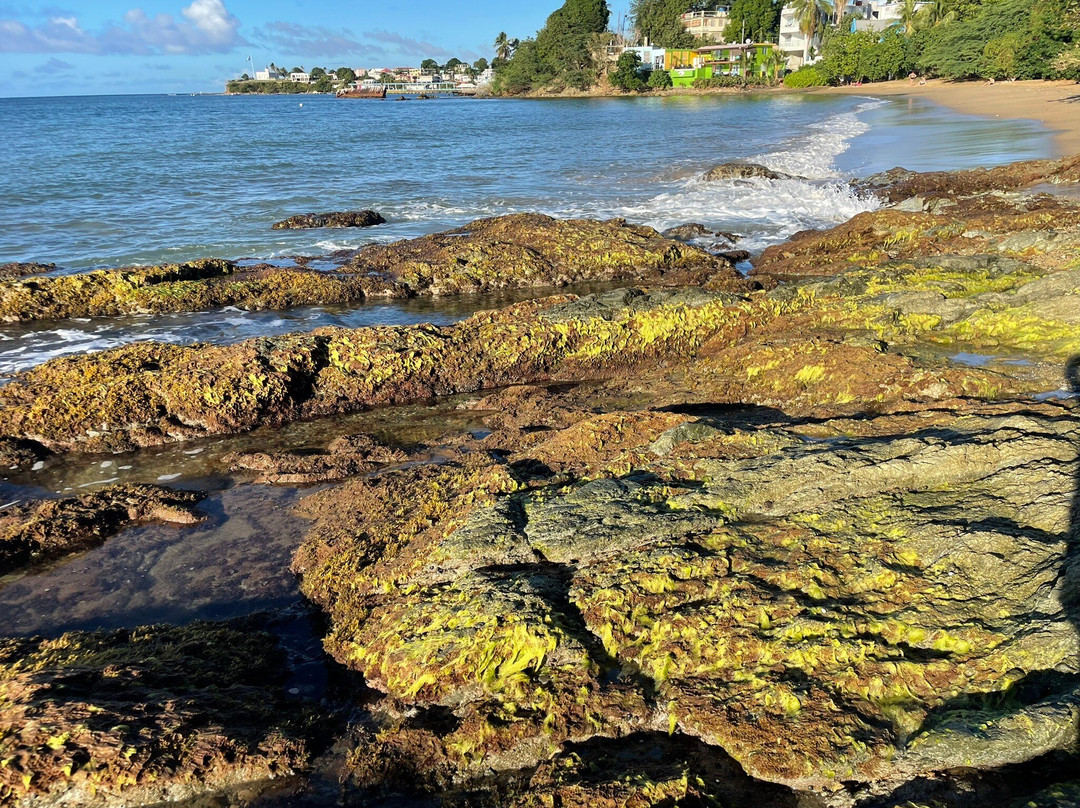 Sea Glass Beach-维切克岛必去景点