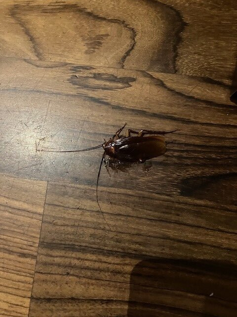 伯爵摄政宾馆主图